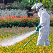 Pesticides : annulation en justice de plusieurs arrêtés préfectoraux ayant validé des « chartes pesticides » dites de bon voisinage
